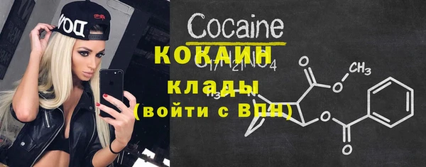кокс Богородицк