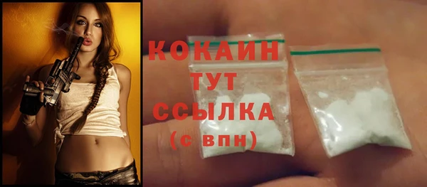 кокс Богородицк