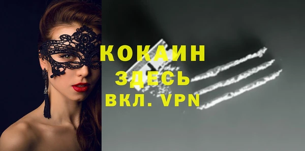 кокс Богородицк