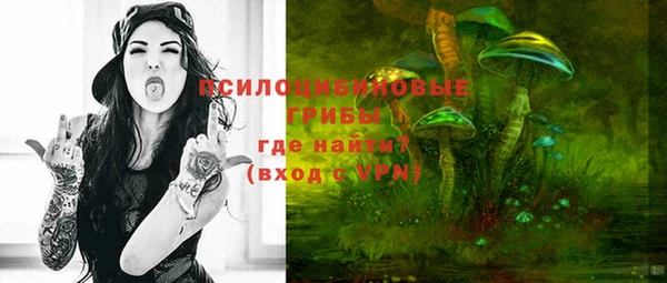 МДМА Богданович