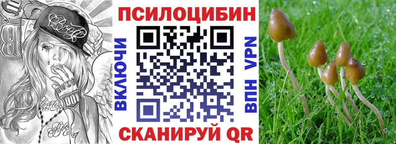Псилоцибиновые грибы Psilocybe  Купить закладки  Новочебоксарск 
